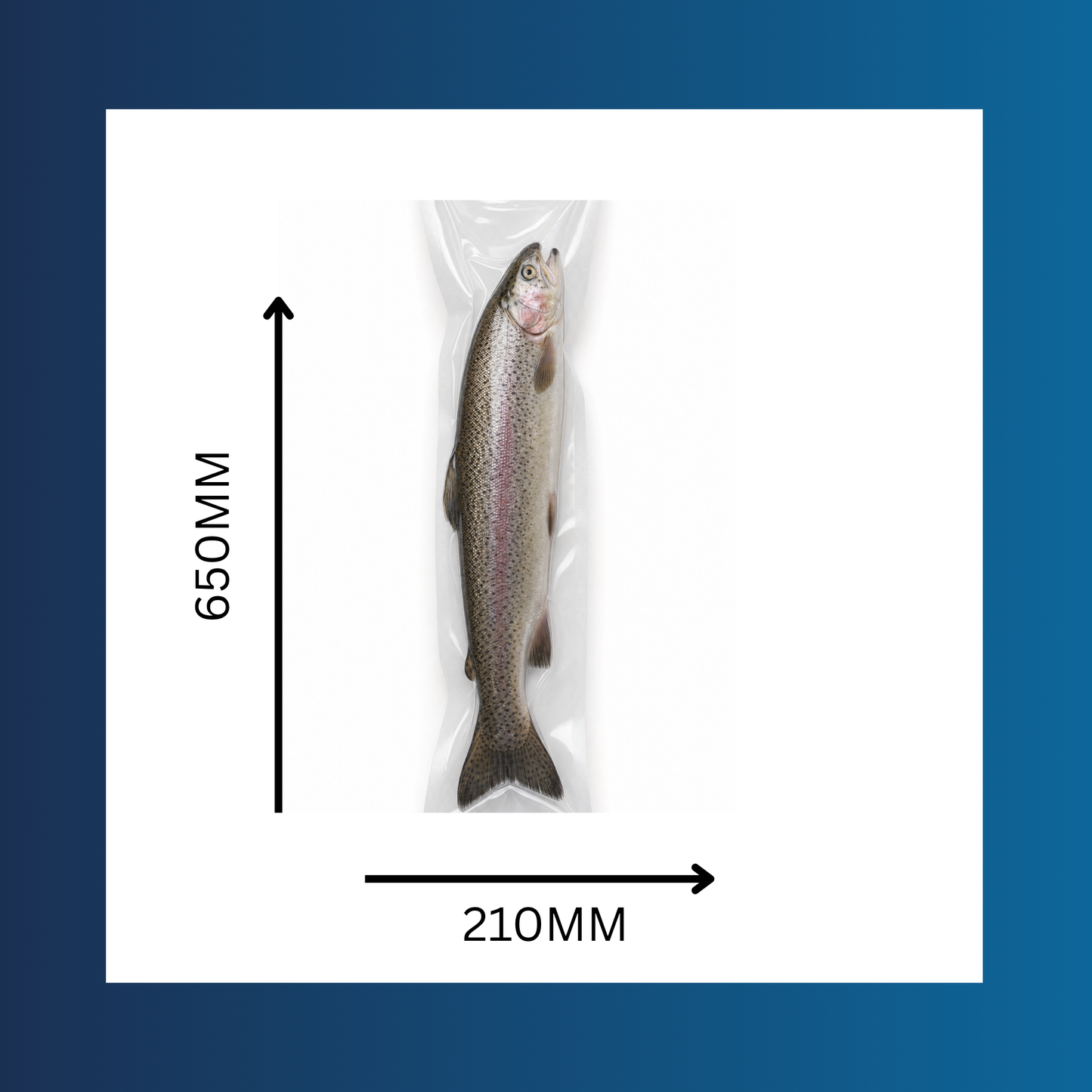 Clear 210x650mm 130 micron vacuum pouch shown sealed around fresh food